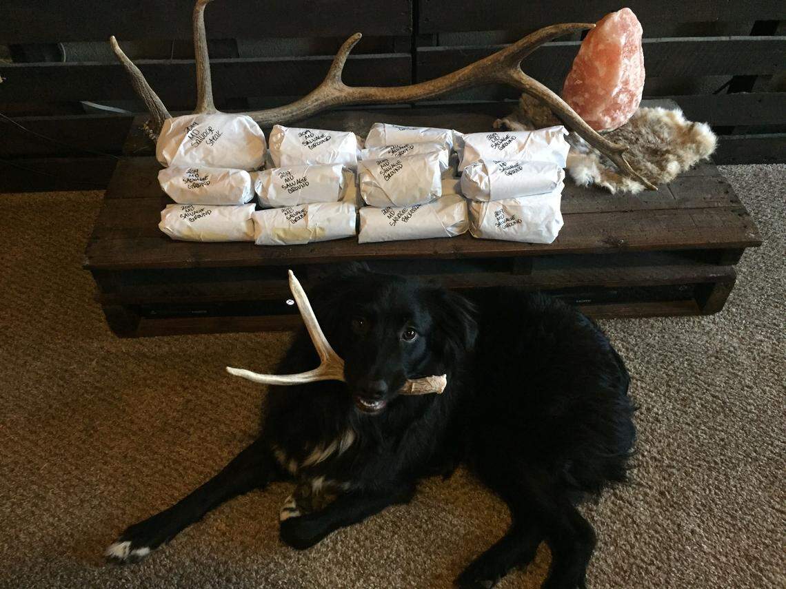 Jessica Mundall’s dog, Colt, poses with a pile of salvaged mule deer meat while holding an antler from the same animal. Mundall, of Boise, harvests meat and other parts from roadkill animals. She intends to use the antlers to train Colt to shed hunt.