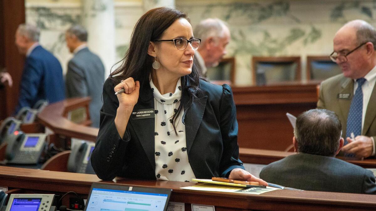 Rep. Lauren Necochea, D-Boise, the Idaho Democratic Party chair, said the election of Dorothy Moon as Republican Party chair shows how extreme the Idaho GOP has become.
