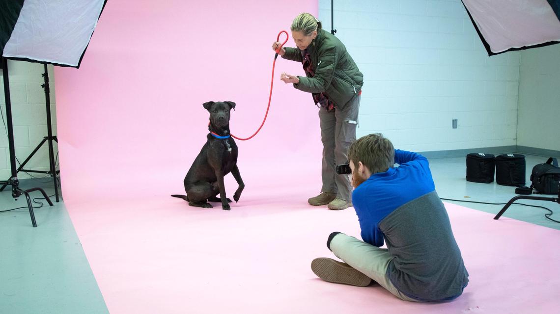 For Idaho Humane Society animals, good photos can be worth a bunch of adoptions