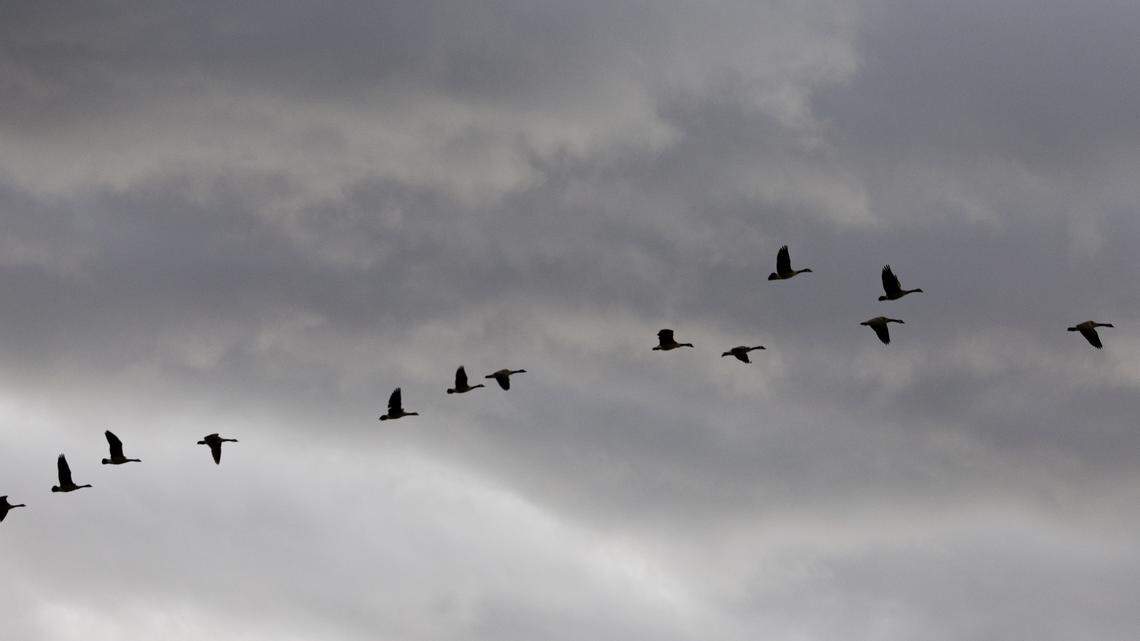 It’s going to be wet and windy this week. How much rain will the Boise area see?