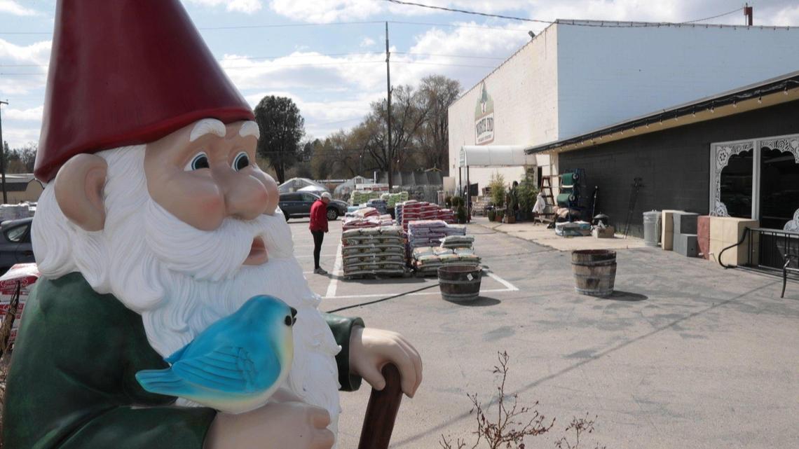 North End Organic Nursery in Garden City is limiting customers to appointment only visits to limit the number of people inside the store or outdoors by the greenhouses.
