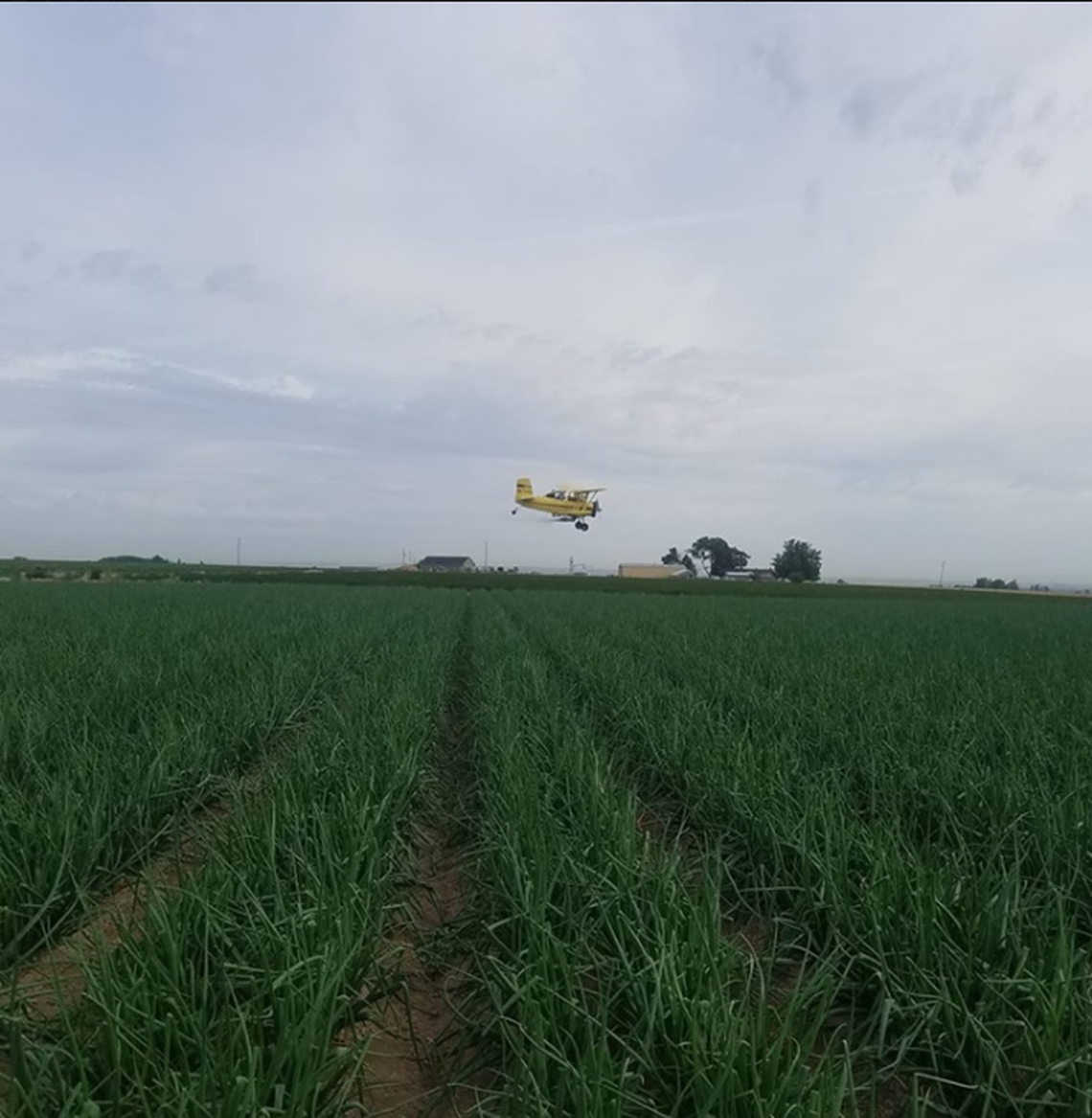 Jose Ramirez took this July 10 photo of a cropduster plane after he said it almost sprayed near where he and his crew were working. He originally posted this photo to Facebook describing the incident, then shared the original photo with the Statesman.