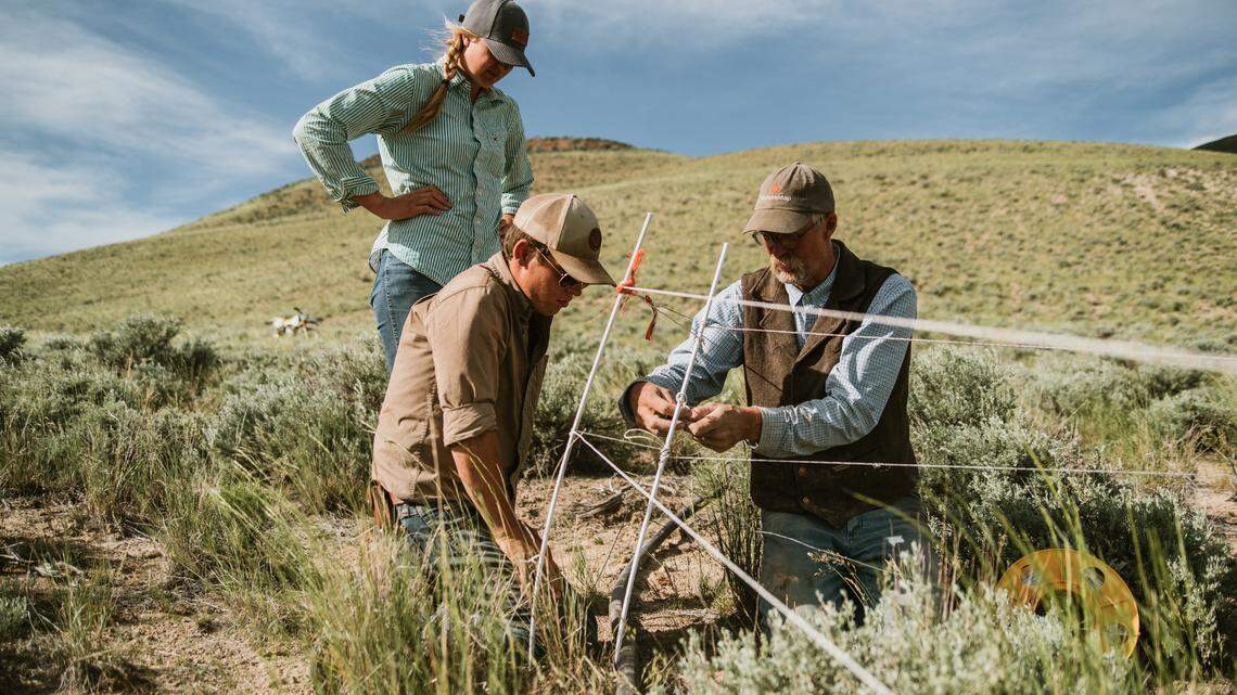 In this 2020 photo, Glenn Elzinga, right, Annie Elzinga, left, and employee Jake Taylor use hot wire, powered by solar chargers, to confine cattle at night in a pen adjacent to the conservation riders’ camp.