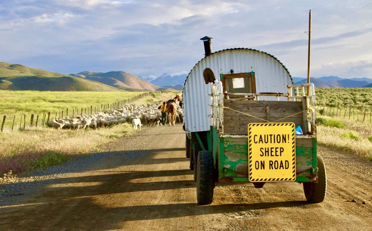 Kathleen and Brian Bean have been selling 100% grass-fed lamb and beef around the country from their ranch for years.