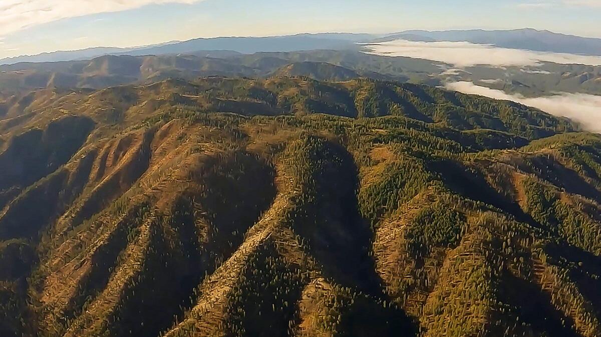 The area where Idaho Copper wants to begin a copper mine exploration project. The mine would be located near Idaho City and Grimes Creek. Idaho Copper seeks to gain approval from the U.S. Forest Service through a CuMo Mine Exploration Project.