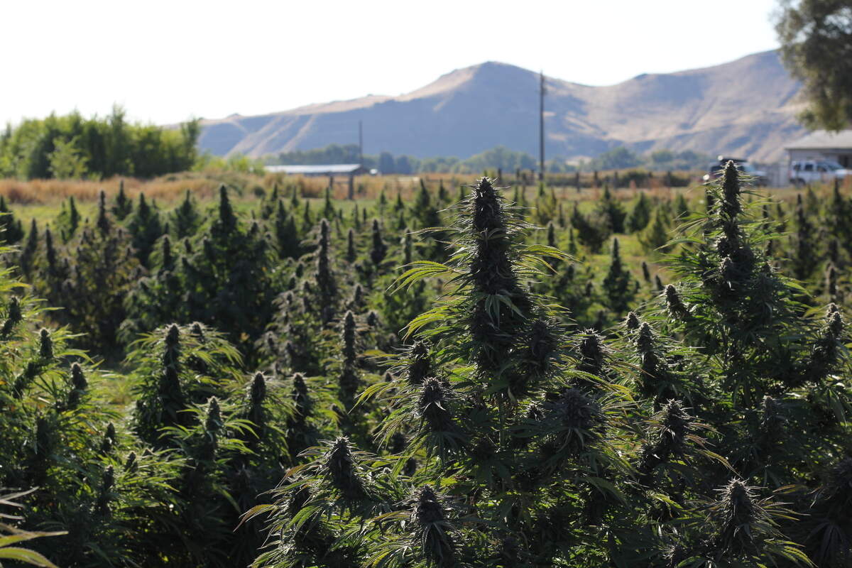 The Fletchers have a 30-acre farm in Vale, OR that the commute to from Boise, ID.