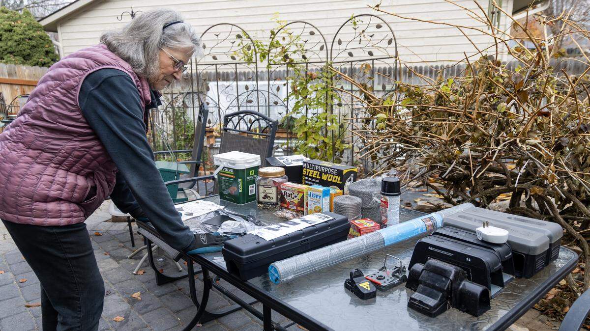 Jane Rohling displays gear she uses to prevent rats from entering her Eagle home.