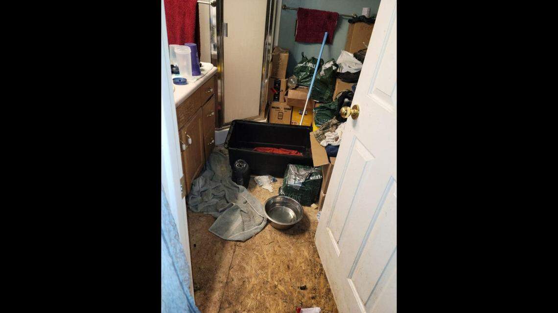 A 74-year-old Utah woman is facing 30 animal cruelty charges after neighborhood complaints led deputies to bags of dead dogs in an Eagle Mountain home, according to the Utah County Sheriff’s Office.