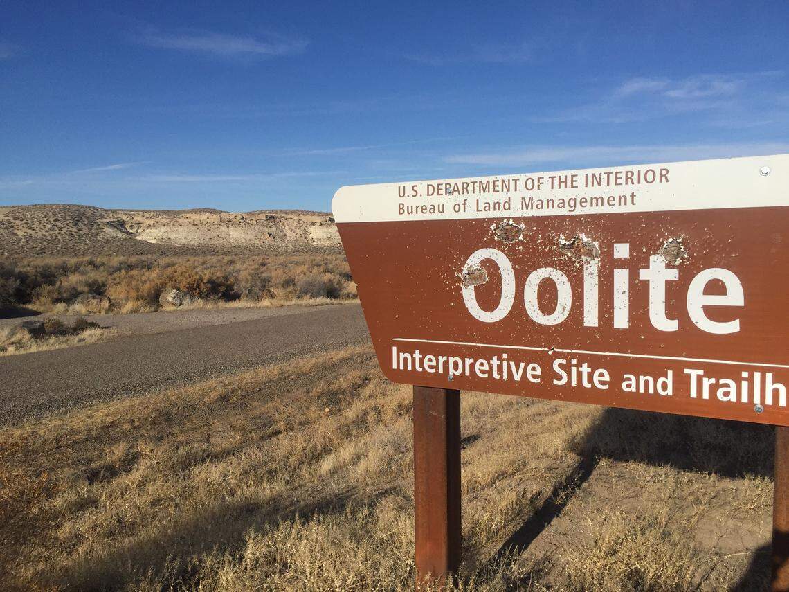 The Shoofly Oolite Interpretive Trail crosses Bureau of Land Management-owned property near Grand View, Idaho. Hikers can explore unusual oolite rock formations.