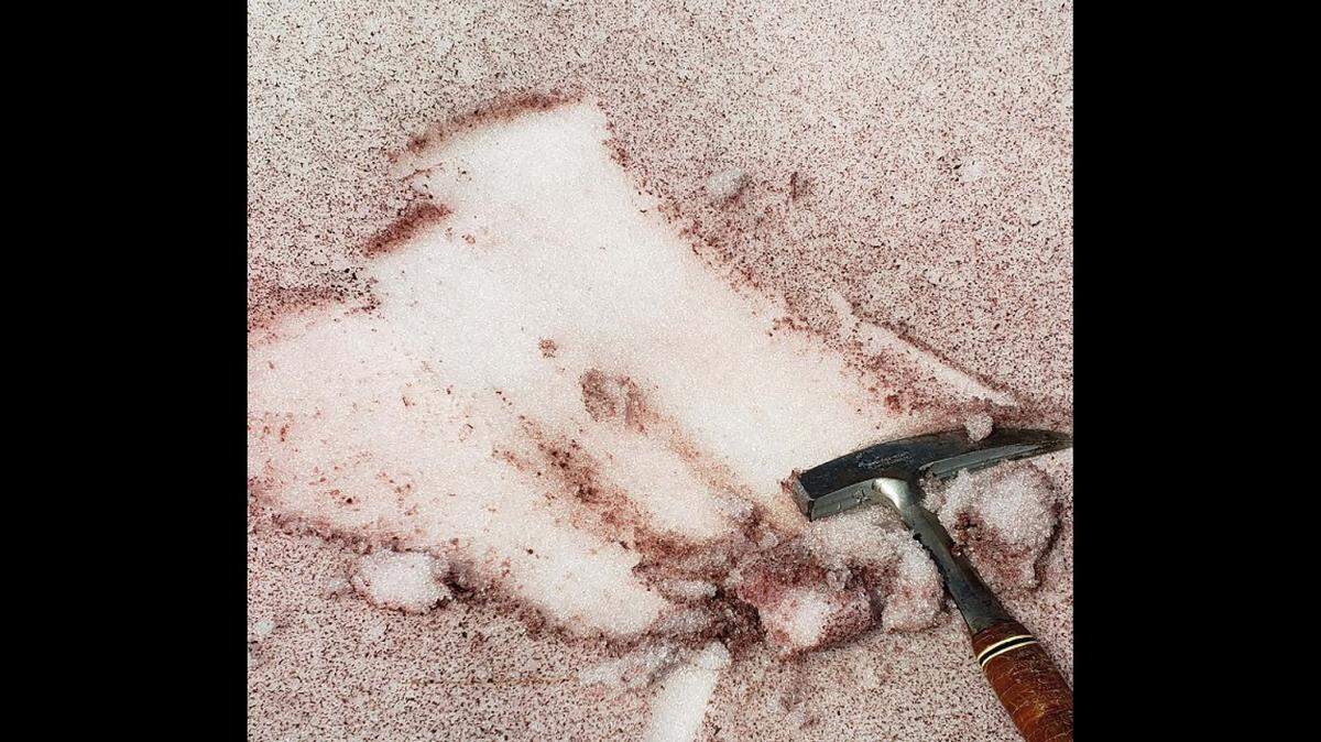 Pink snow is shown in this July 2019 photo taken at Beartooth Mountains in Montana within Yellowstone National Park.