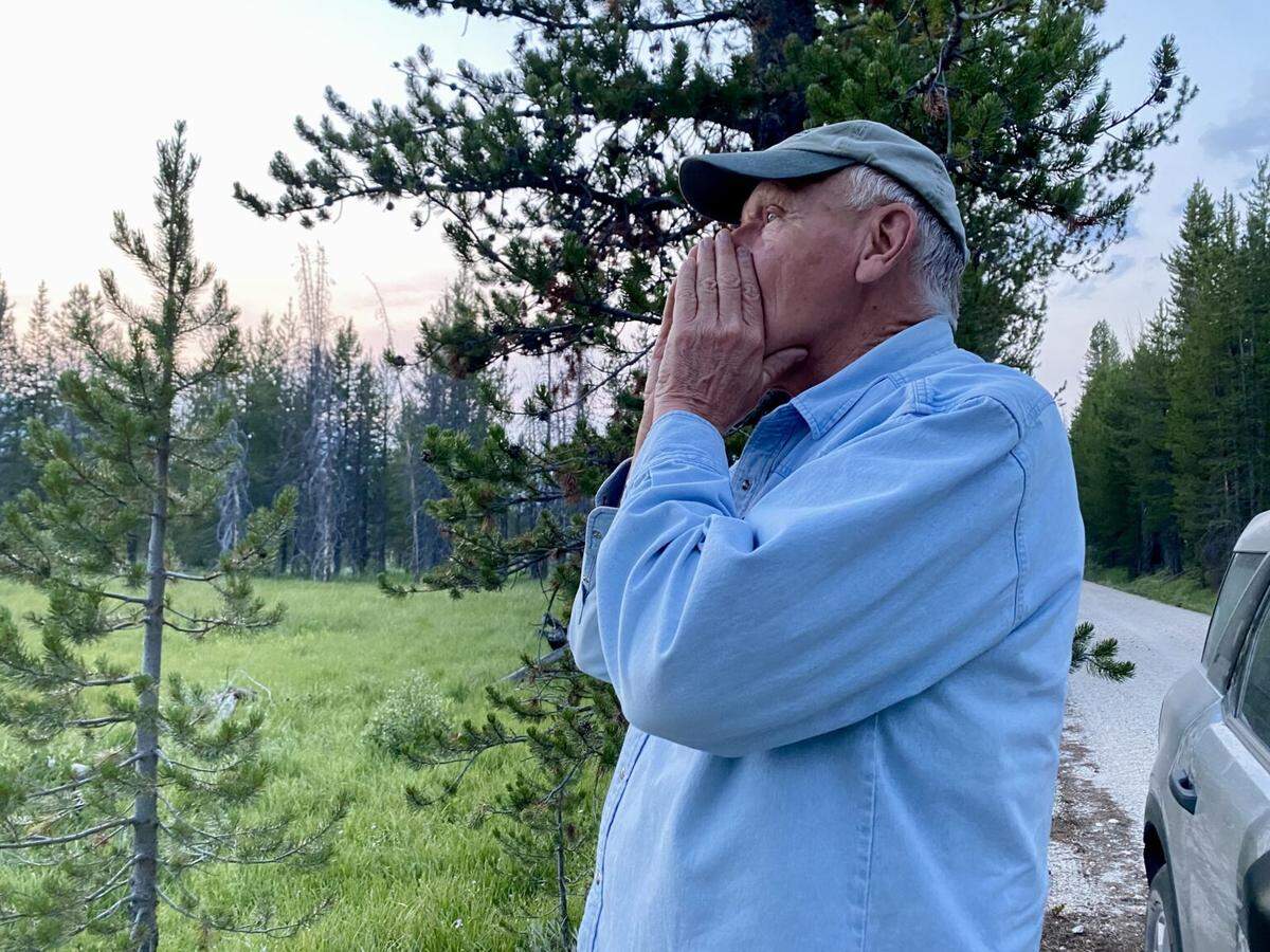 Carter Niemeyer howls while looking for wolves just outside of the Frank Church-River of No Return Wilderness
