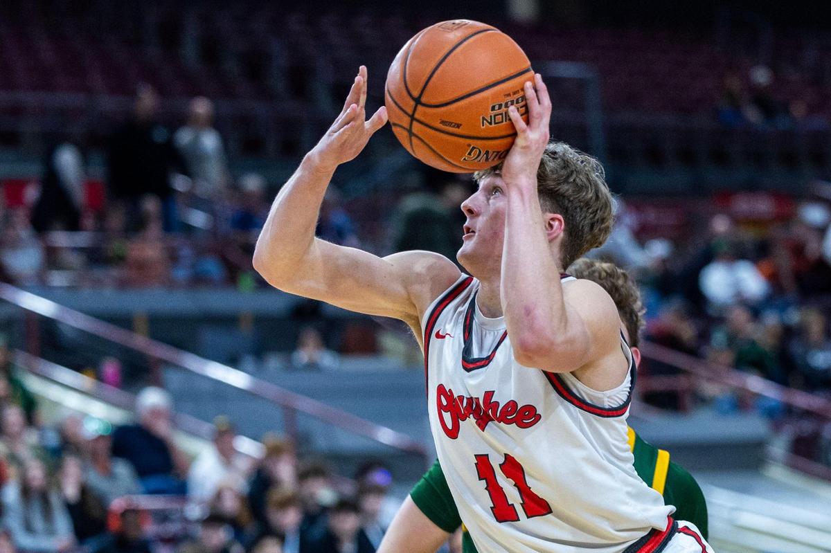 Owyhee guard Logan Haustveit, a Utah Valley signee, has already made the All-Idaho first team twice. 