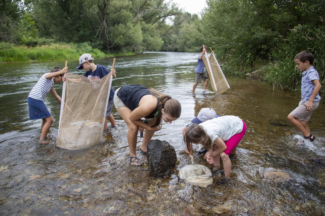 Young students collect bugs and macro-invertebrates from the Boise River, just 100 feet downstream from where treated effluent is discharged from the West Boise Water Renewal Facilty. Certain macro-inverteb