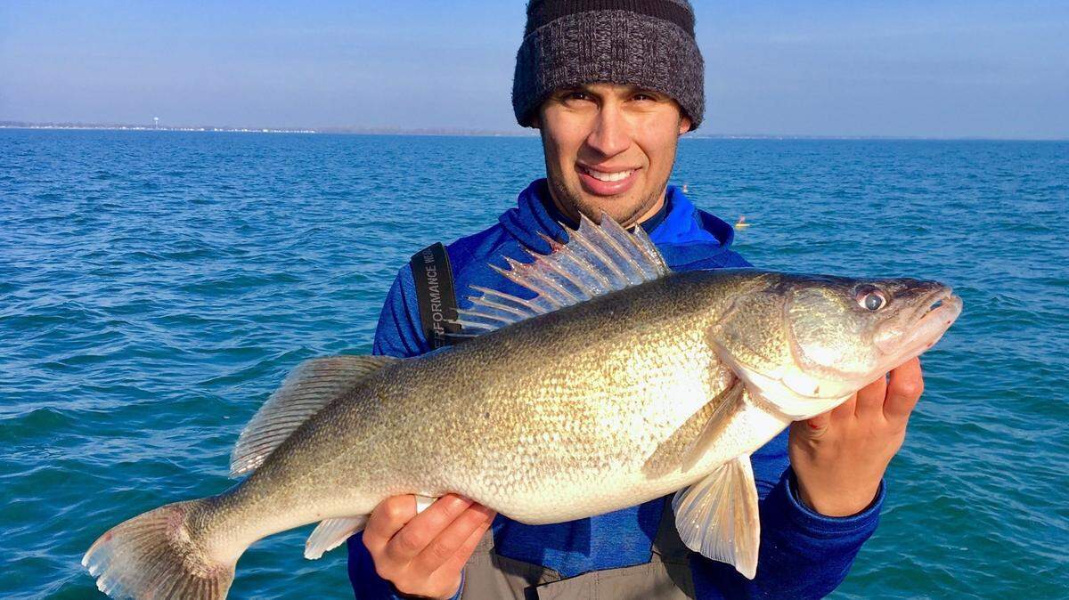 This walleye was caught in Lake Erie, where these toothy fish are prolific and native. Unfortunately, walleye have been showing up in Idaho fisheries where they don’t belong — one of two concerning invasive species issues our state has faced in recent months.