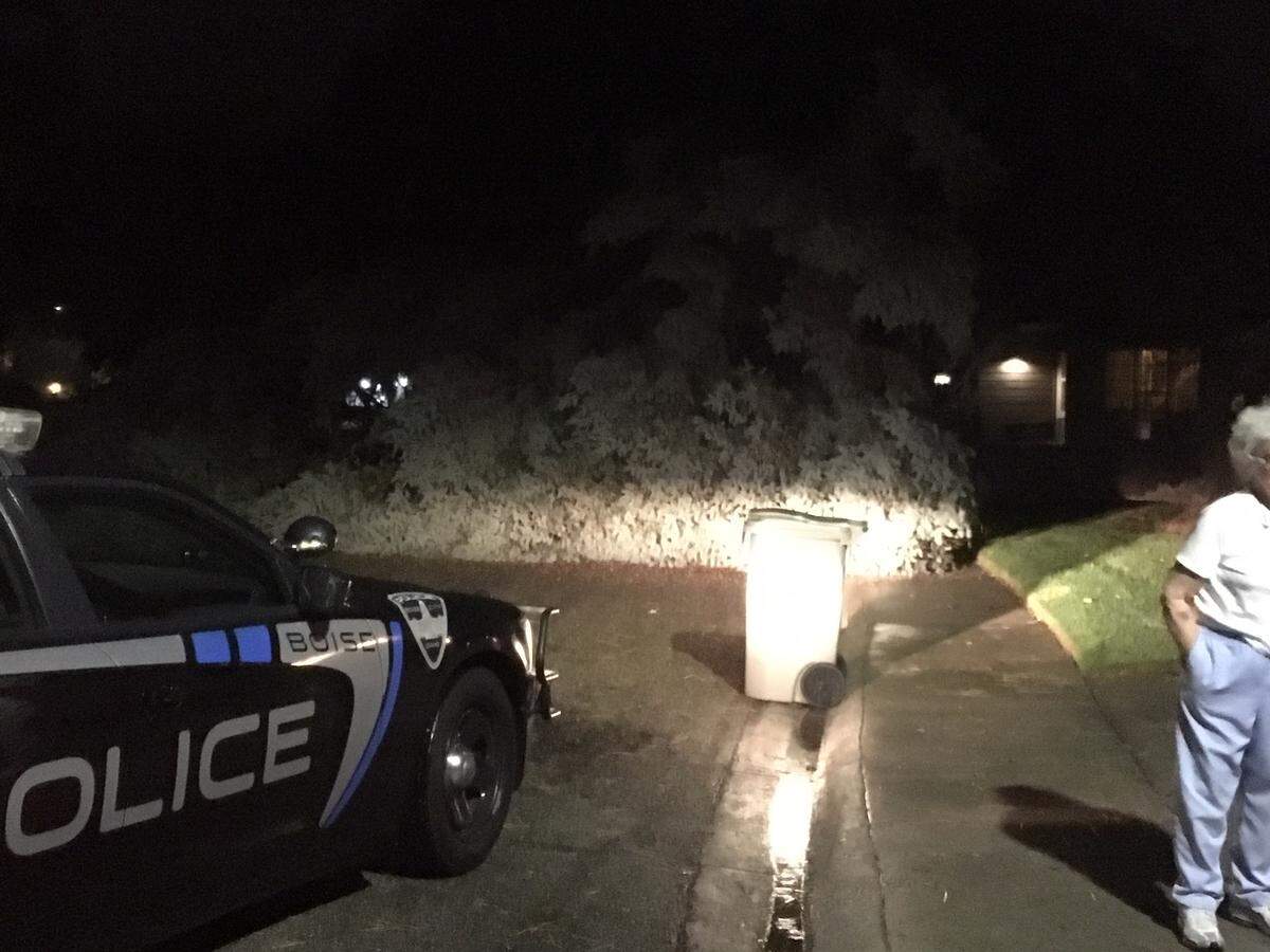 A large spruce fell across Fallingbrook Drive in Southeast Boise on Thursday night.