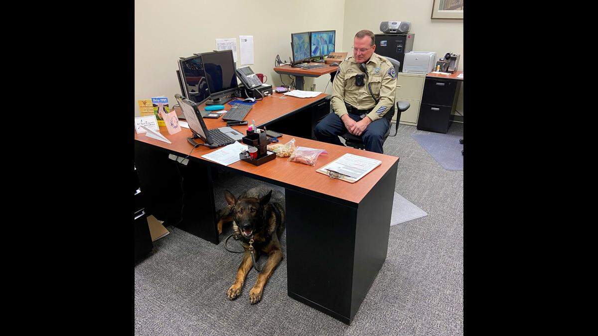Shock, a K-9 dog for the Ada County Sheriff’s Office, is pictured with his handler, Deputy Morgan Case.