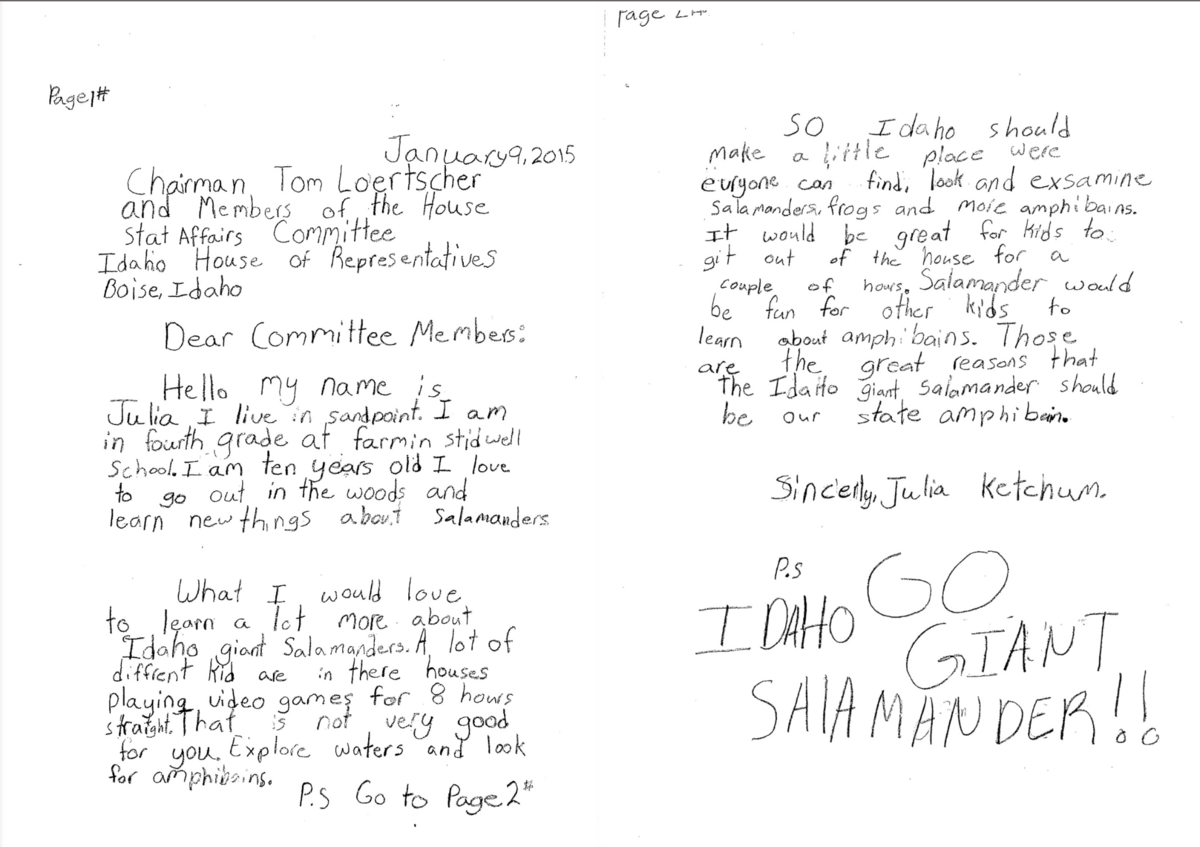 A letter from an elementary school student to the Idaho House State Affairs Committee about why the Idaho Giant Salamander should become the state amphibian.