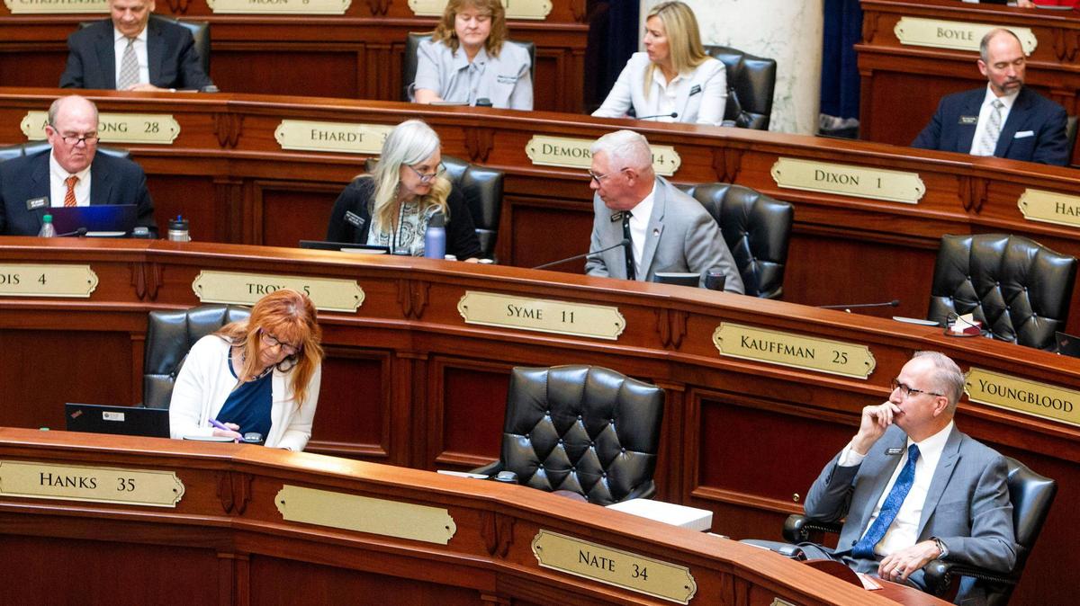 Idaho legislators’ claims last session included coronavirus antibodies and natural immunity providing as much protection from infections as the COVID-19 vaccine, and people who are vaccinated are just as likely to spread the virus as those who are not vaccinated.