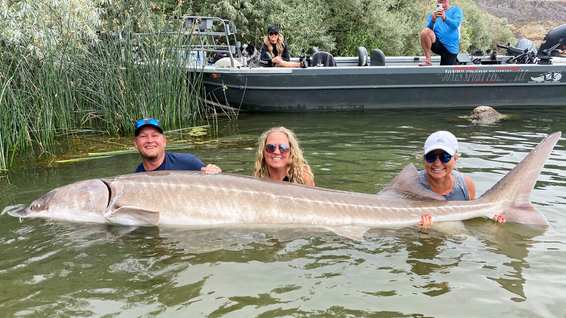 Anglers smash Idaho sturgeon record with rare catch at Snake River reservoir near Boise
