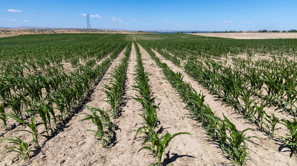Idaho lawmakers have taken aim at a “state-based solution” to issues with agricultural workers.