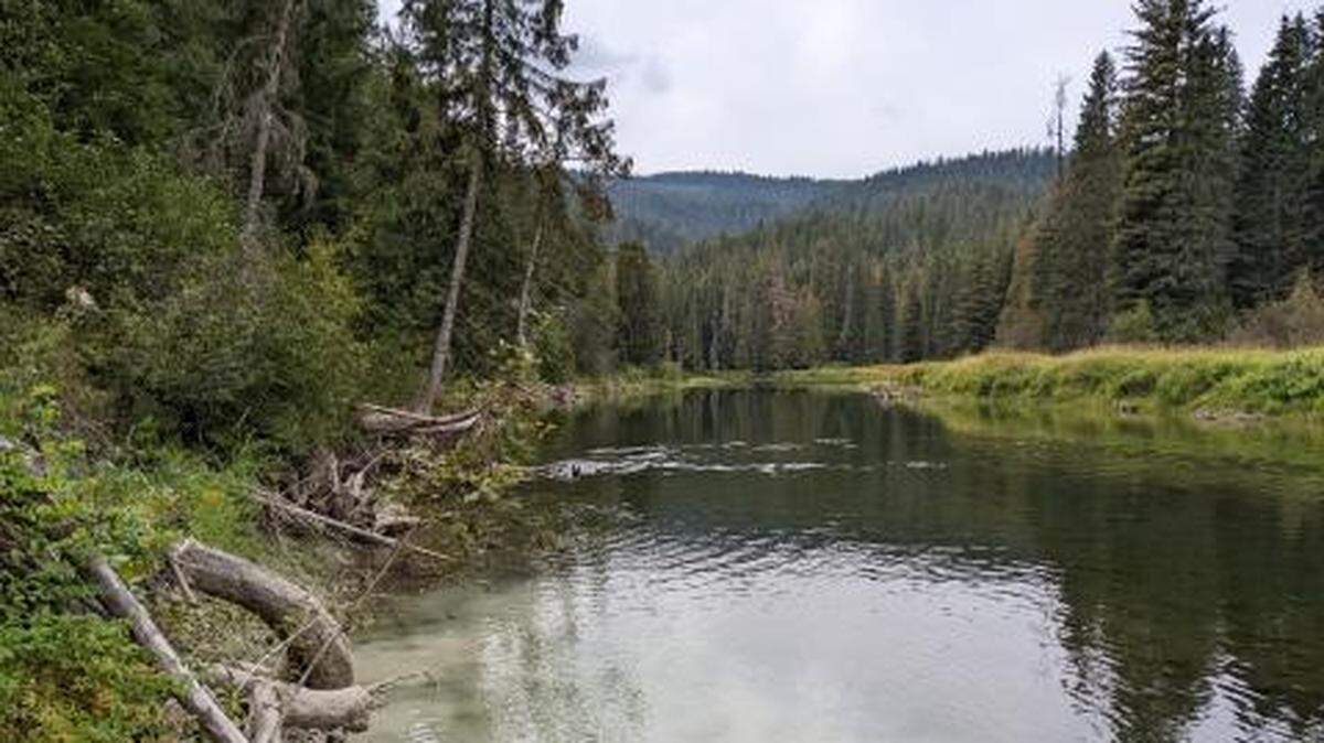 The Priest River Experimental Forest is one of two research forests in North Idaho. The other is Deception Creek, east of Coeur d’Alene.