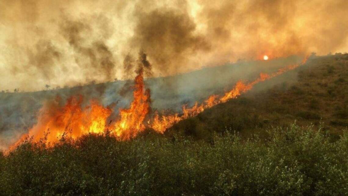 Woodhead wildfire leads to evacuations, Idaho road closure as it burns 40,000 acres