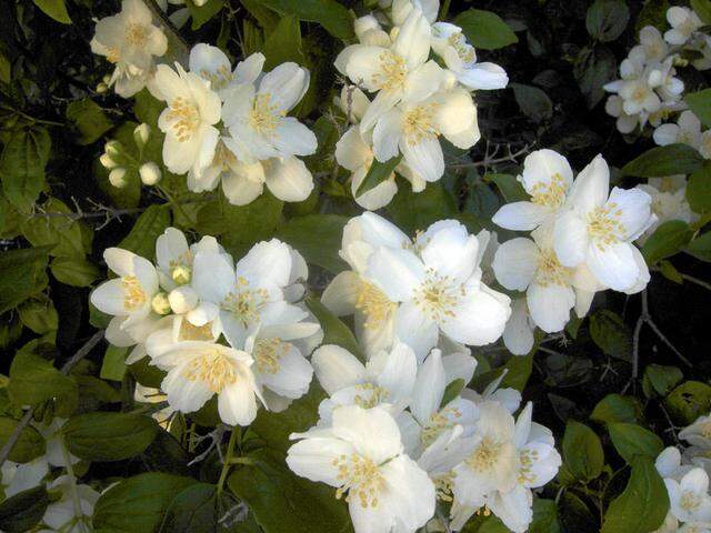 0322 G waterwise-8b.JPG