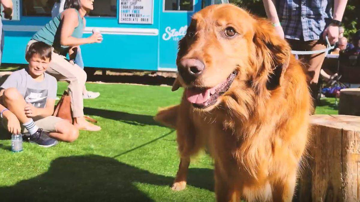 Bring your dog. Green Acres Food Truck Park welcomes all Boiseans with a variety of food and drink.