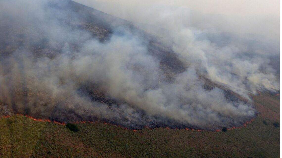 Wildfires in Idaho: Man admits he started Sharps Fire by target ...