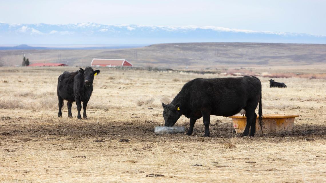 ‘On the slow road to demise’: Idaho water system can’t absorb climate change stress