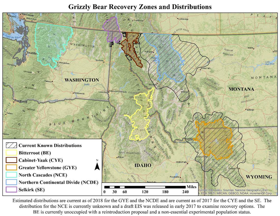 This 2018 graphic from the U.S. Fish and Wildlife Service shows estimated grizzly bear population ranges based on 2017 data.