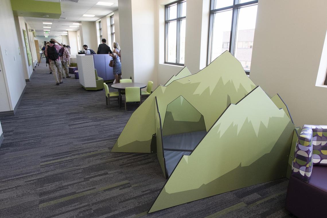 Each floor of the new Idaho Elks Children’s Pavilion is themed with animals and geography. The third floor features mountainous interactive furniture.