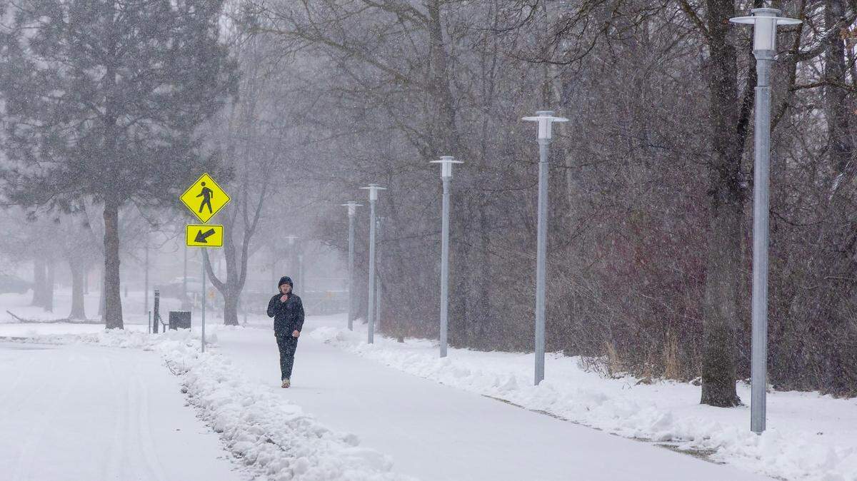 Snow falls in Boise at Julia Davis Park, Thursday, Feb. 13, 2025.