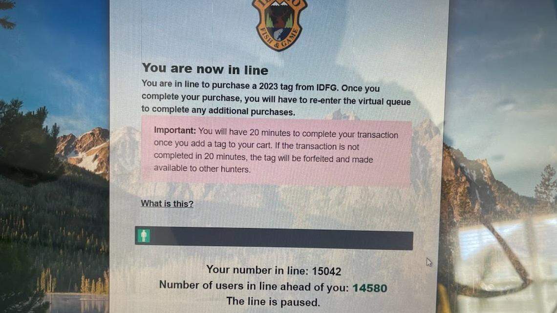 ‘Taylor Swift for hunters’: Idaho Fish and Game tag system crash sparks anger from hunters