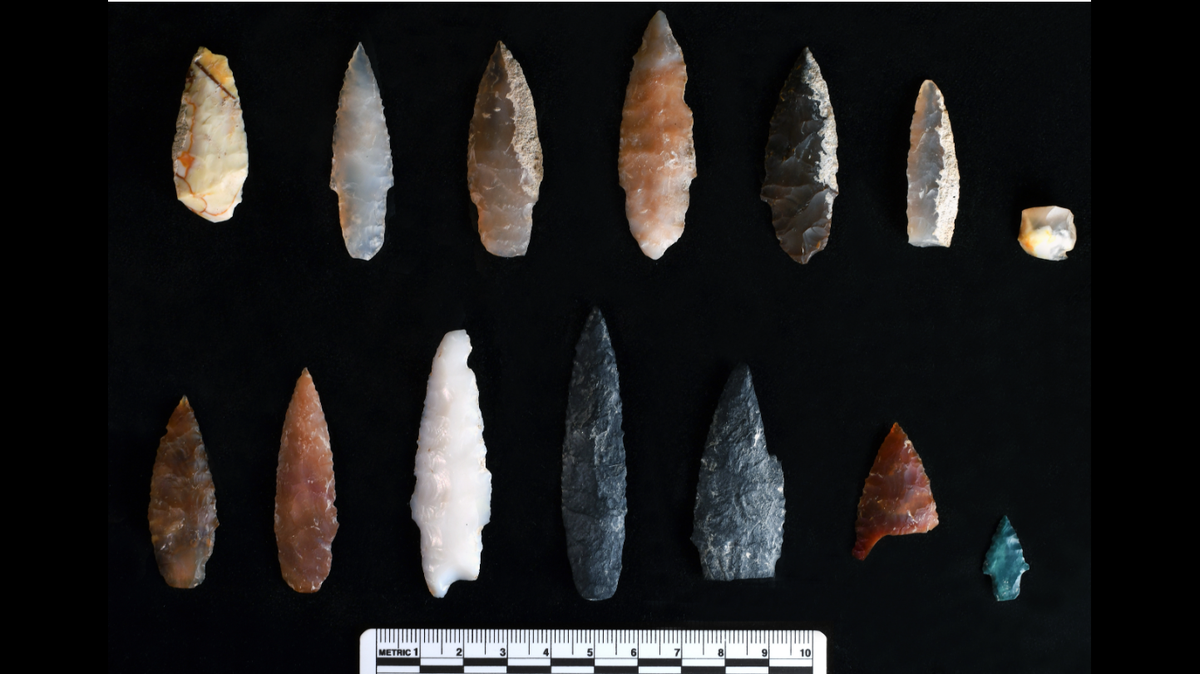“Razor sharp” projectile points found in Idaho are “roughly” 15,700 years old, making them the oldest human-made tools discovered in the Americas, according to archaeologists with the Oregon State University.