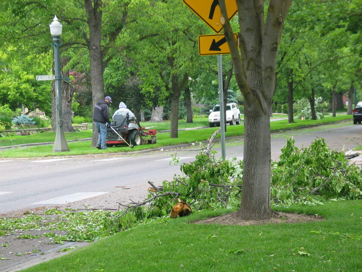 Workers cleaning up storm damage on Harrison Boulevard in the North End last year.