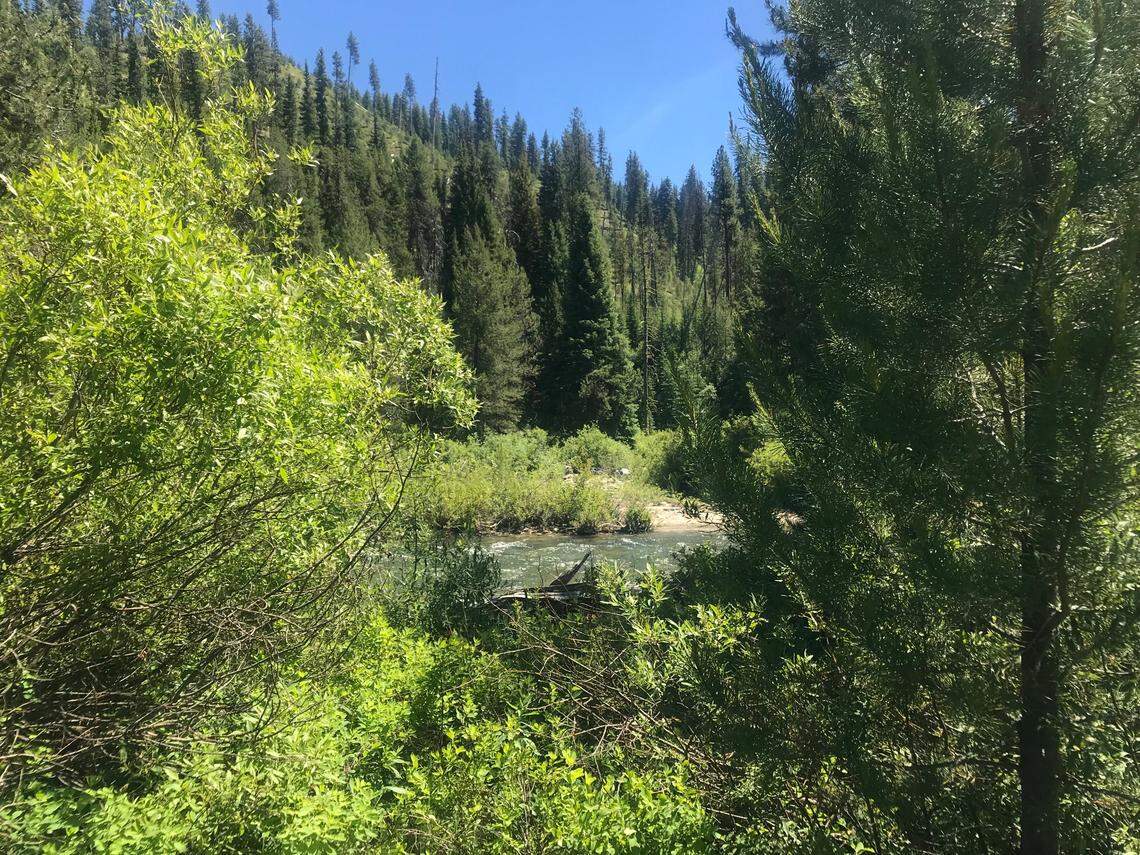 The Robert E. Lee Campground is along the North Fork of the Boise River, near the confluence with Robert E. Leek Creek.