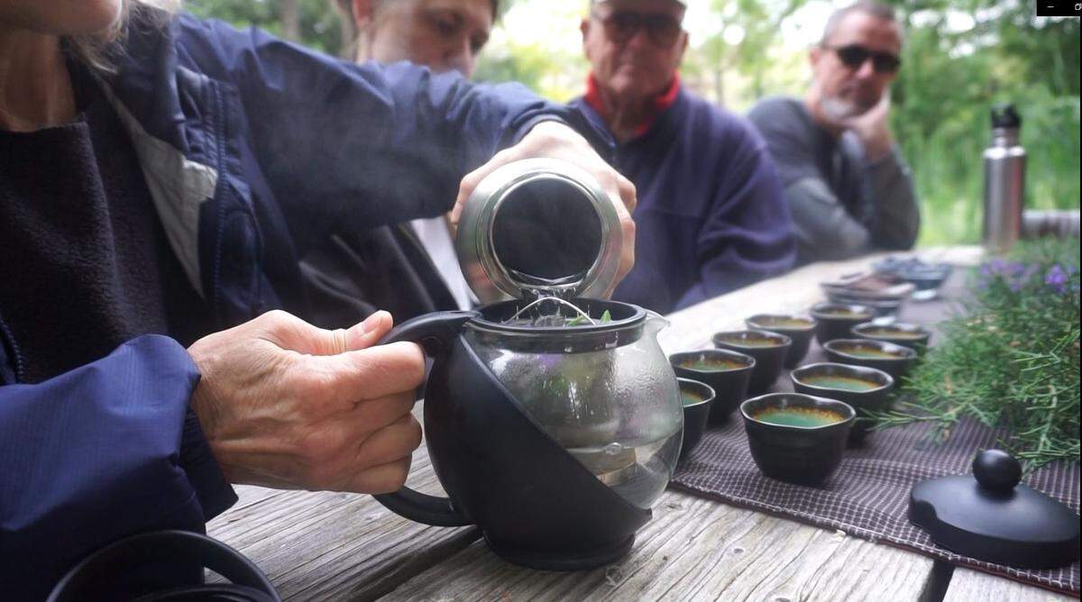 Sari Telpner prepares tea made from catmint during a forest bathing session at the Idaho Botanical Garden on Sunday, May 26, 2019. Telpner, a nature and forest therapy guide, leads forest bathing events at the garden, where participants practice mindfulness in nature.