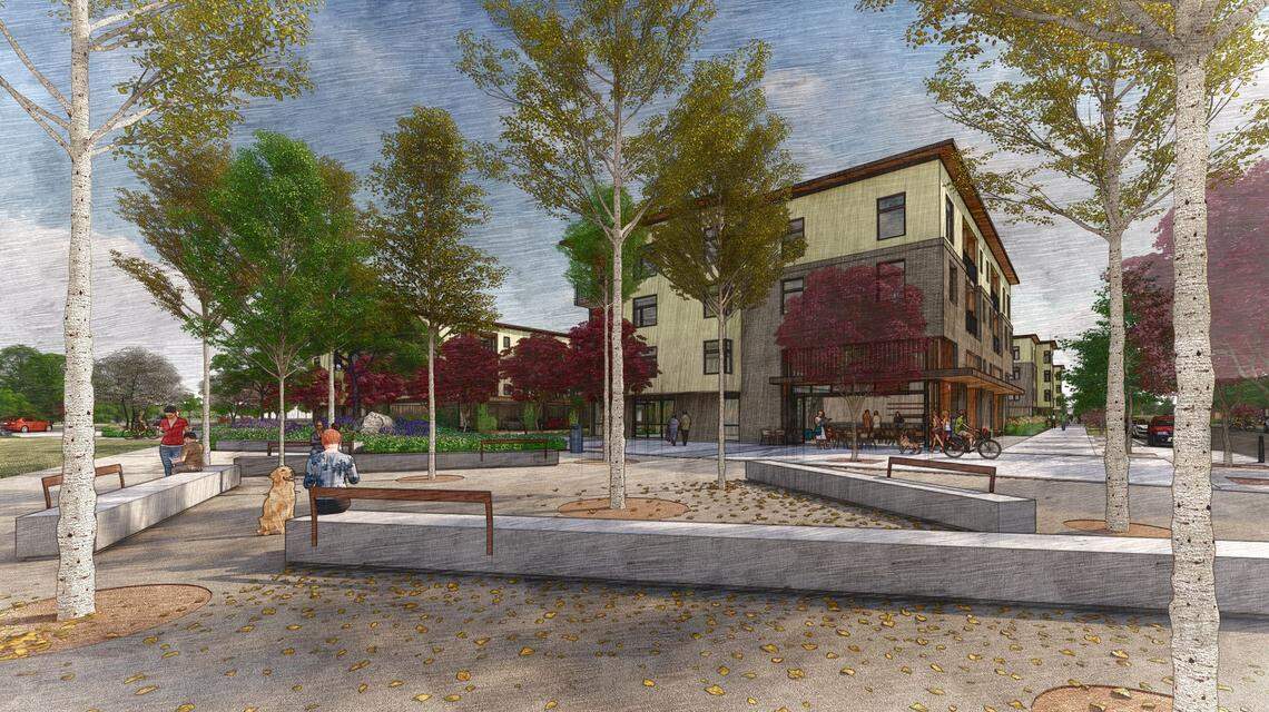 The developers of the proposed Molinari Park apartment and commercial project in downtown Eagle wrote in their application that they would be willing to donate a small public park to the city if maintenance of the park could be paid for with homeowners association fees.
