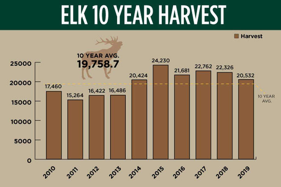 Elk harvest dropped slightly in Idaho in 2019.