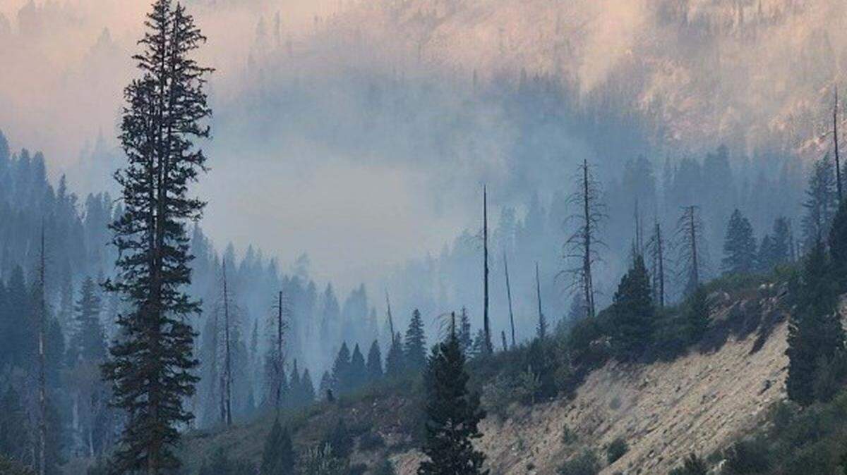 The Wapiti fire this year around the Stanley area devastated the forests and damaged Highway 21, shown here.