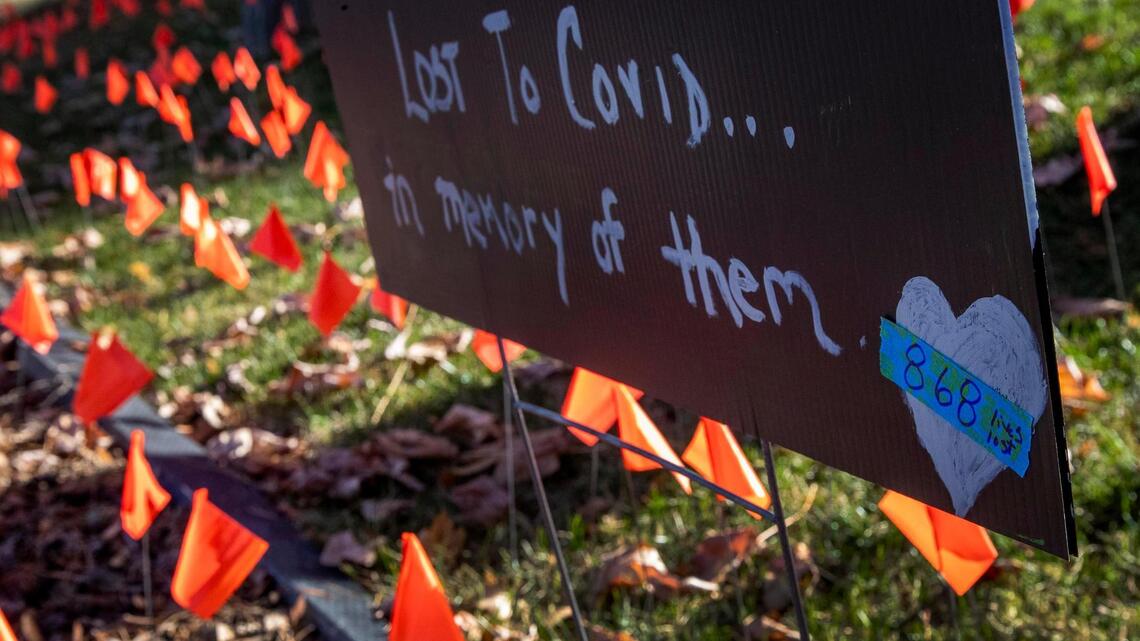 Idaho deaths jumped by more than 1,700 last year as pandemic raged; flu deaths dropped
