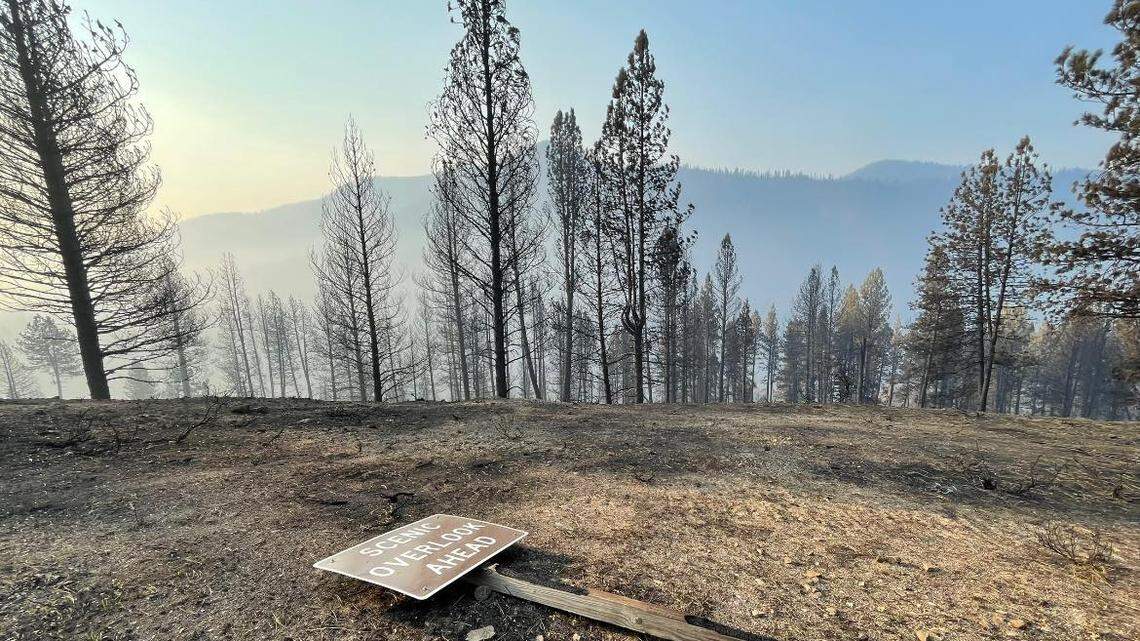 The Wapiti Fire has left many areas around Stanley severely burned.