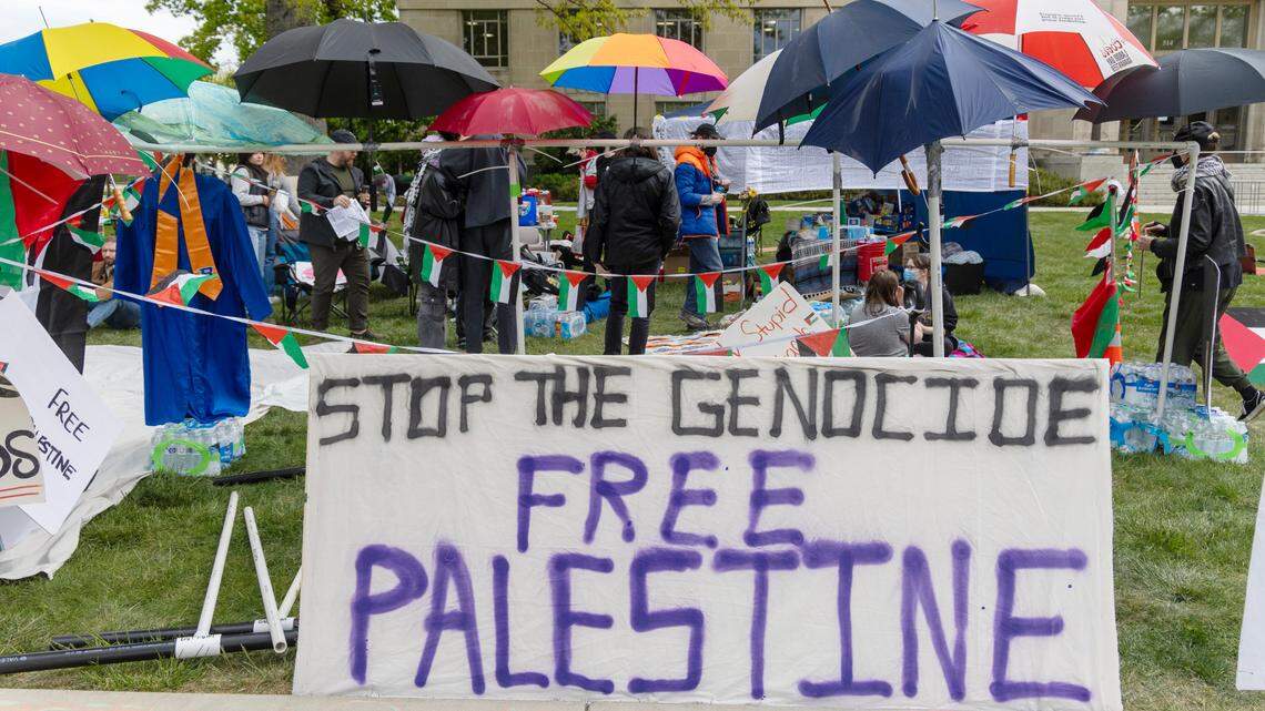 Supporters of Palestine hold a protest in downtown Boise.