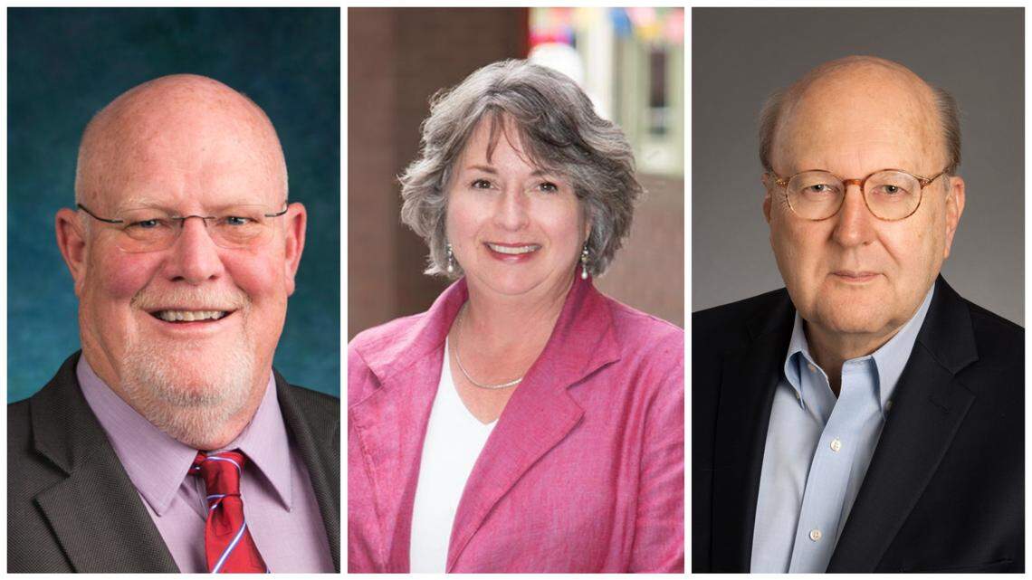 Three new community members are joining the Idaho Statesman’s editorial board, from left, Greg Lanting, Terri Schorzman and Garry Wenske.