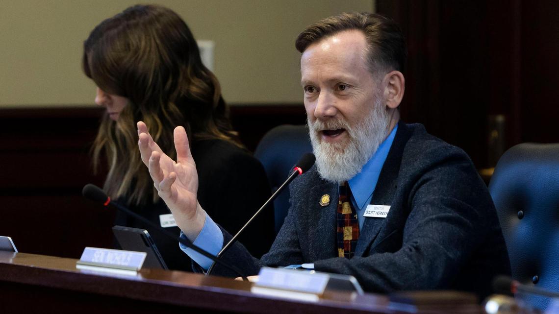 The leader of the Idaho Senate took aim at Sen. Scott Herndon, R-Sagle, over his online posts.