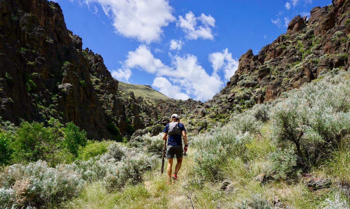 Micah Lauer of Boise hikes through Perjue Canyon in the Little Jacks Creek Wilderness of southwestern Idaho. The canyon is full of sagebrush and red rock but you’ll also find a dense tree canopy along the West Fork Shoofly Creek.