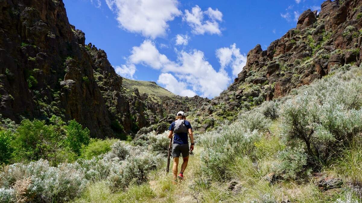 Micah Lauer of Boise hikes through Perjue Canyon in the Little Jacks Creek Wilderness of southwestern Idaho. The canyon is full of sagebrush and red rock but you’ll also find a dense tree canopy along the West Fork Shoofly Creek.