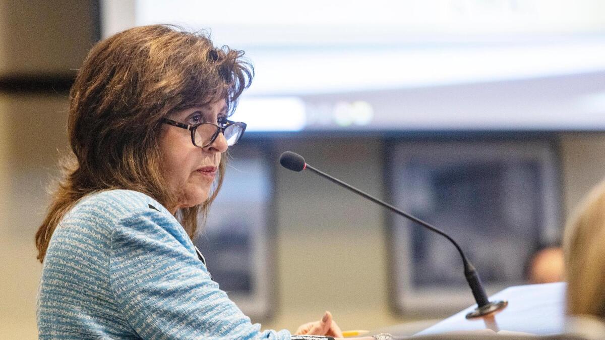 “There (are) a lot of reports of people coming from Canada that I’ve been hearing just after coming back from Coeur d’Alene last night, that have been coming over and voting,” state Rep. Dorothy Moon, R-Stanley, said on the House floor Monday.