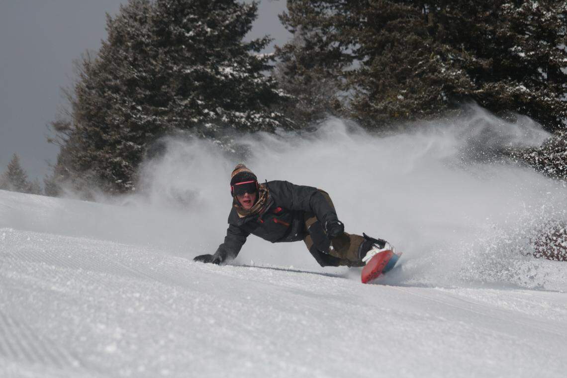Bogus Basin Mountain Recreation Area cleared brush in key areas during the offseason to improve skiing this winter.